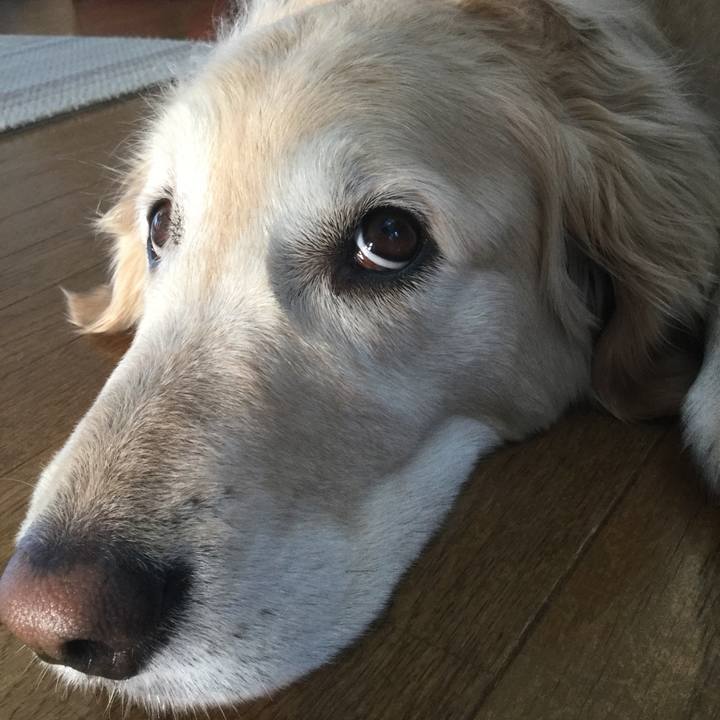 A65fd29f 112a 4710 8ecc 125c550a1204 1523482711505