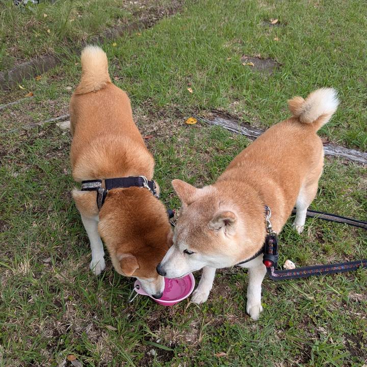 A65ff0b0 fd1b 4b27 91f8 ce39de8bf8a2 1758621807342