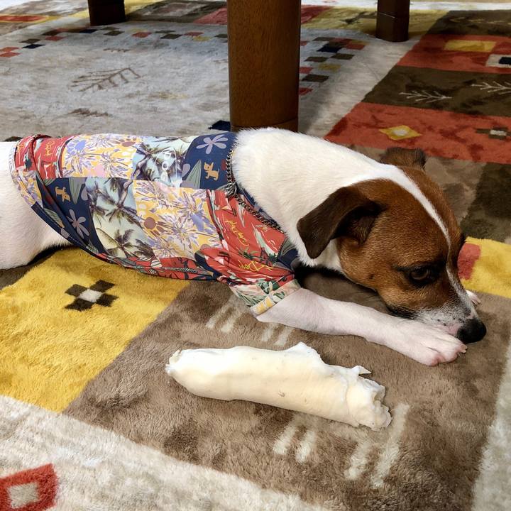 A65ffcf9 f3b2 4350 a450 3b217f308a0b 1595895850679