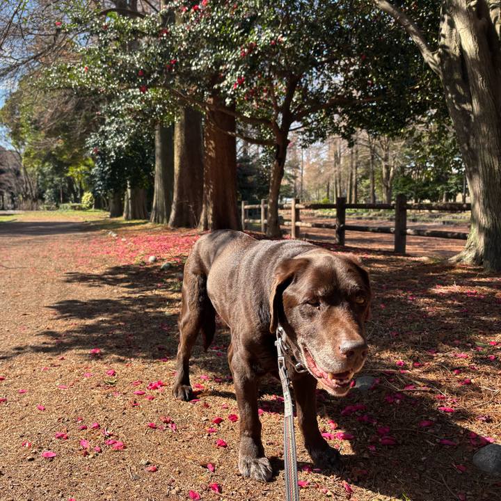 A6600b6a 663c 43bd ae2f 5a6b8fb4fa34 1772453668988