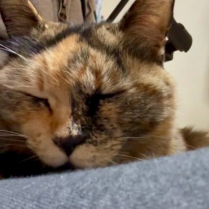 A66042c9 478a 45eb 945a 1b7dd08d9dca 1767235450577