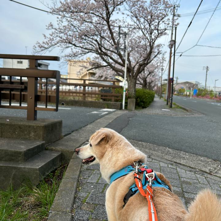 A6604abb f1bc 4ee8 a713 f47303806ac0 1680243547807