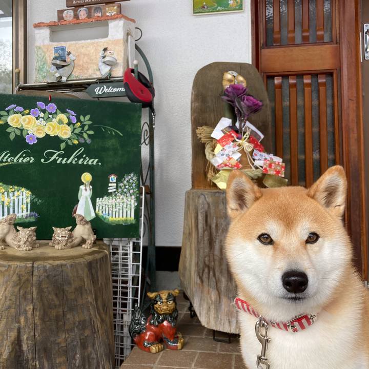 A660675e 9e87 4aea a4aa a2615fef7643 1672583706014