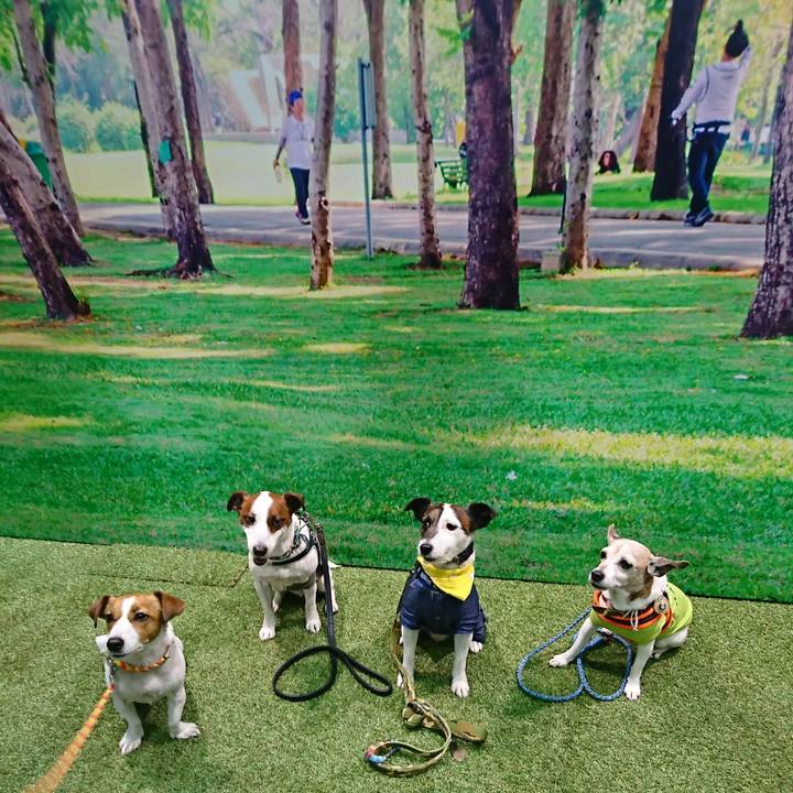 A6606853 e27b 4d1a 82bd 31ccc6e47033 1522496083142