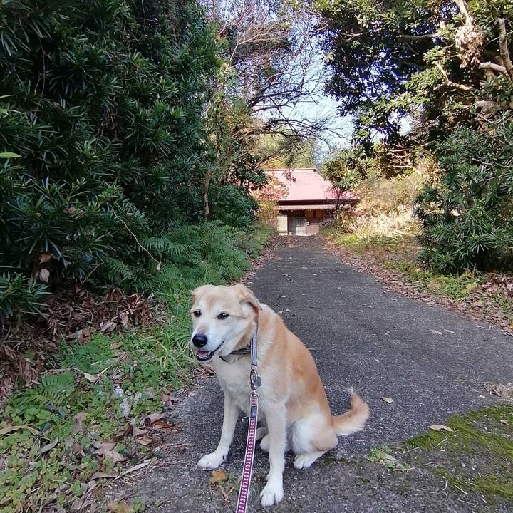 A6607b9f ff89 4efa 8484 f8f3af8595dd 1608890150142