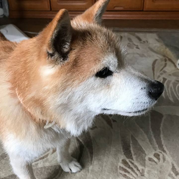 A6609b6a 5e00 4ecd 977e be427a3edce5 1534136160025