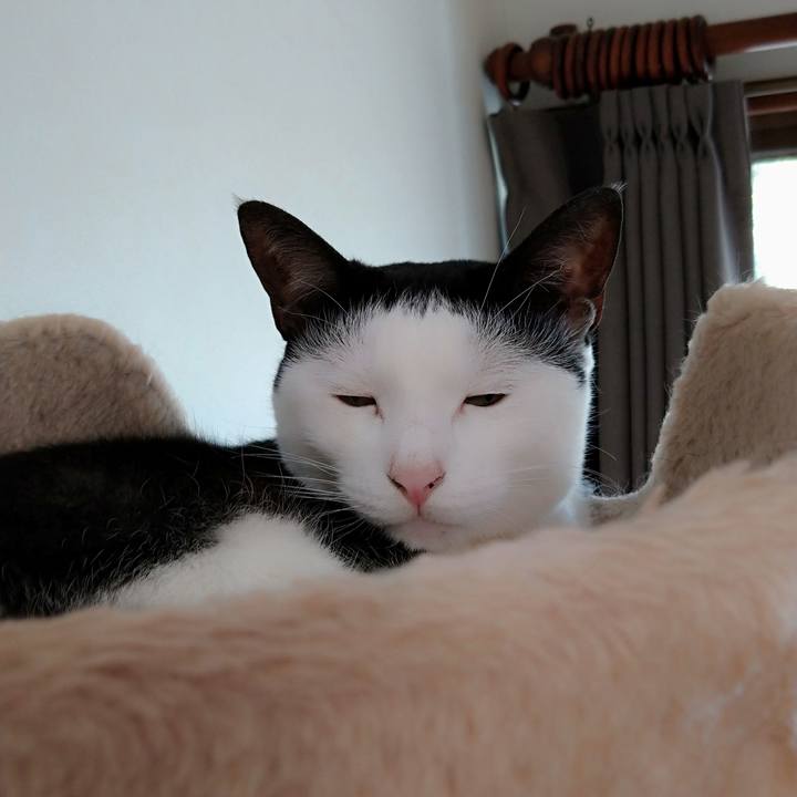 A6609bc7 d471 49ce 8661 aeac48c3f32e 1595385384453