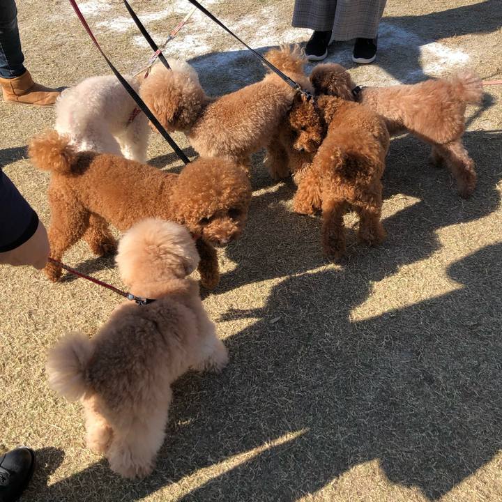 A660d8db d167 426f 97df e39b432b569a 1542542856502