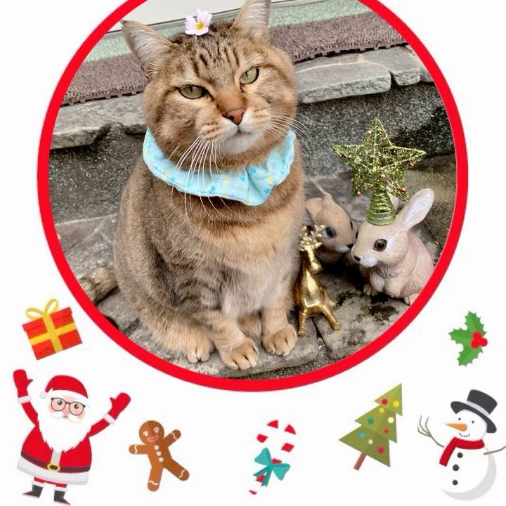 A660d9e5 1bf0 470c 8ddb 9d2faa6e4479 1671316083623