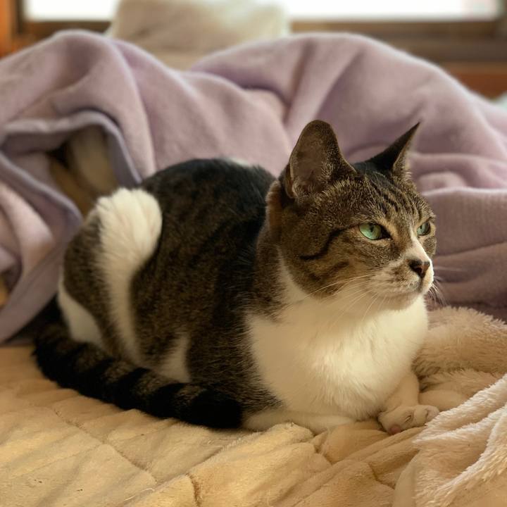 A660f27b c547 4546 9ae7 bb061f95b93b 1604366964414