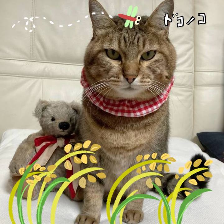 A660f6d9 f28f 4f48 9e4a 9fc91e4c36d3 1763200367855