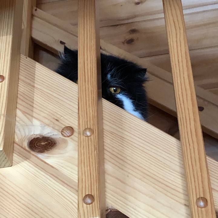 A6610455 92bb 408c be98 53c47d2e8502 1589718190057