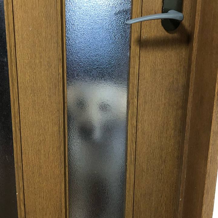 A6610609 bea3 4c19 86bb 482810d5e5f3 1576496926461