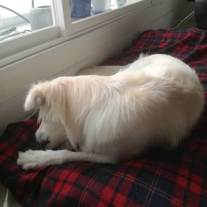 A66115ed ae6b 4d9d b795 11e03ee3ea0d 1510196164282