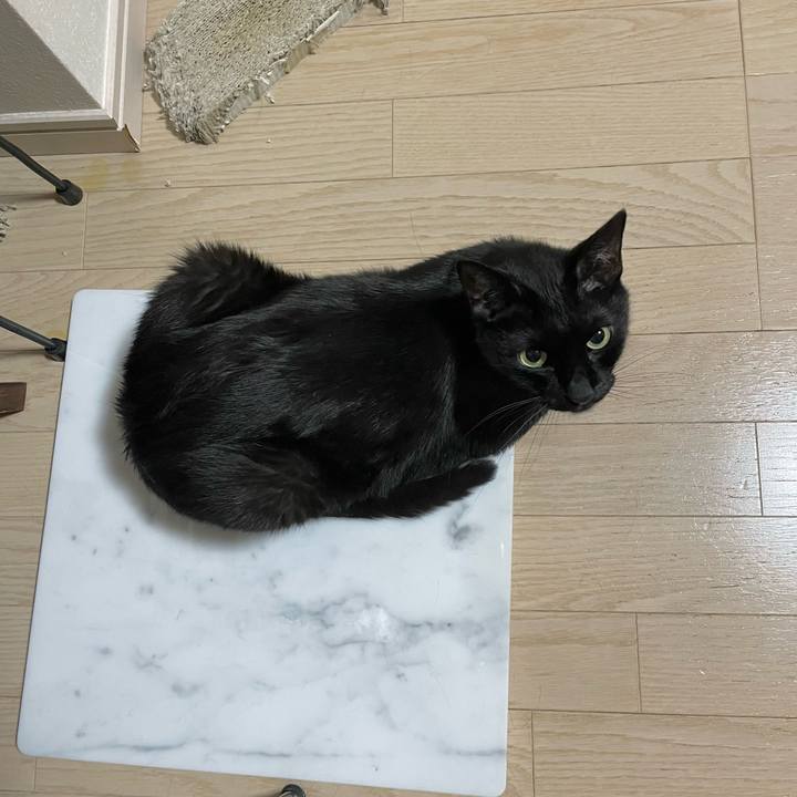 A66127e9 d755 4773 8e30 bf7a907071c4 1657026971016