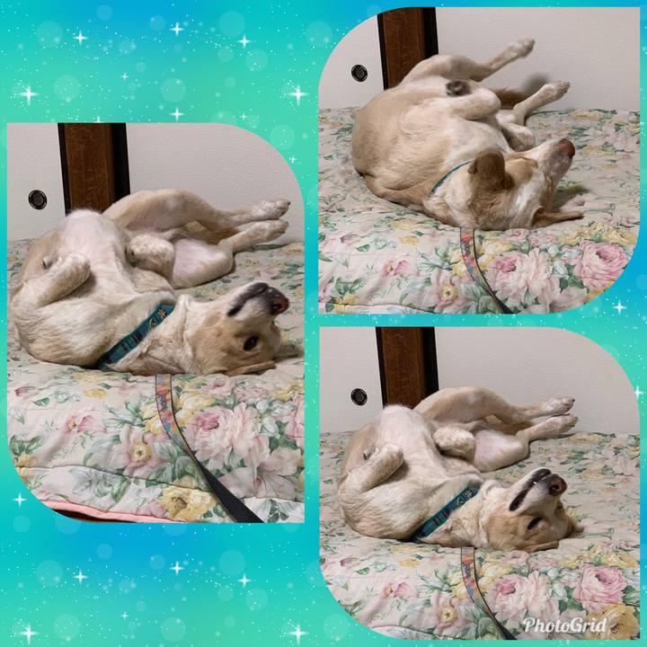 A6617aeb d8bd 4562 be37 b6c2b532625b 1558016993081