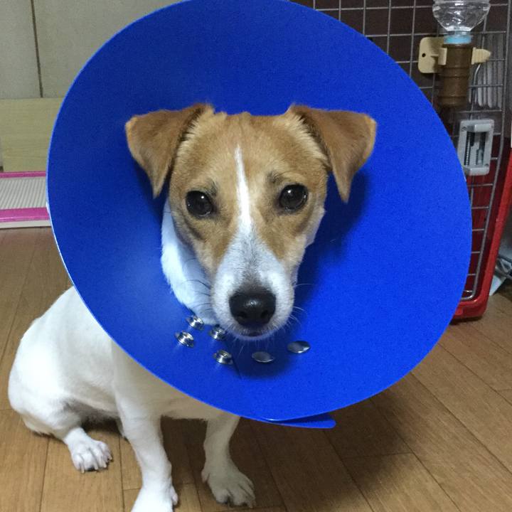 A66194da 12a7 46bf 8d24 336040f787b3 1535713554968