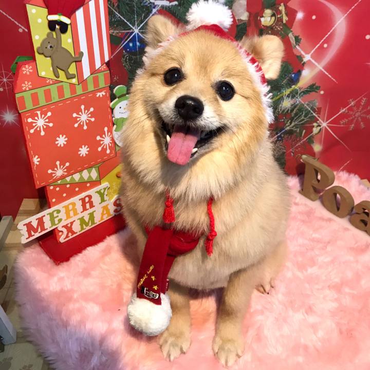 A6619c29 529e 4a9b bcee e82df0462fe8 1608820502698