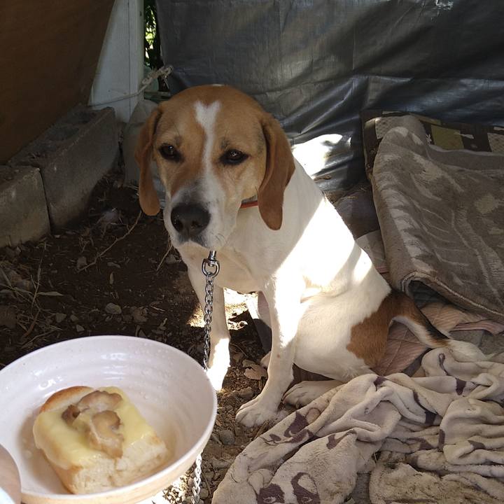 A6619eda bd29 4fb5 b802 f7814aed2933 1619760011449