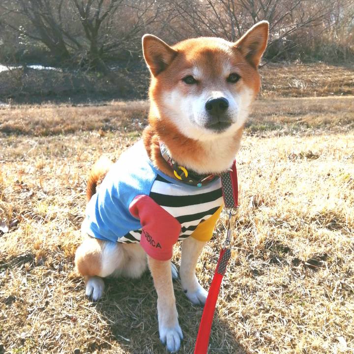 A661b0f5 367c 458b 8203 c745ae231944 1675236728220