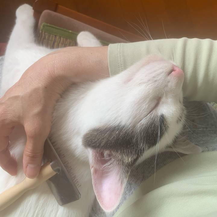 A661bbb5 5593 4750 9f93 0e1ca139942d 1622798476152