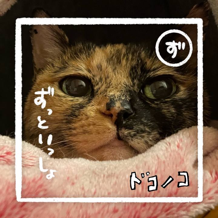 A661e9ee a239 41f1 931b 945fbdb531df 1685970752693