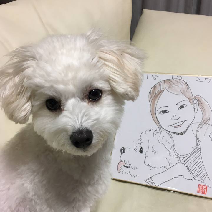 A66202e2 d9a2 42f7 9da1 fc03f90fb8dd 1540639323612