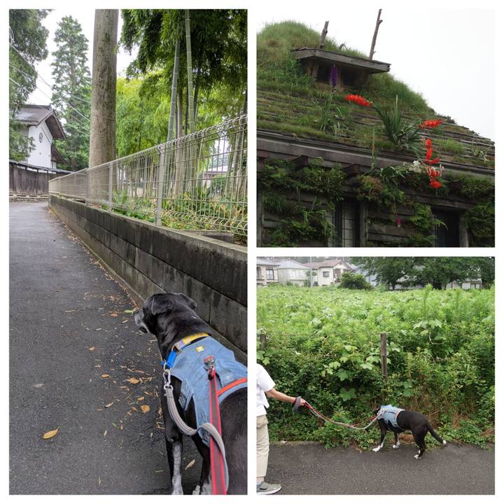 A66203b3 4347 4e50 ba3f 656c0f4a46d2 1752192817729