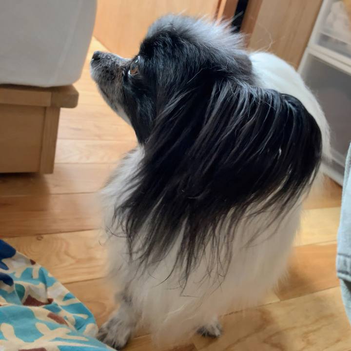 A66214d5 6bdb 4e70 9bd1 f8e288771d1b 1559433986955