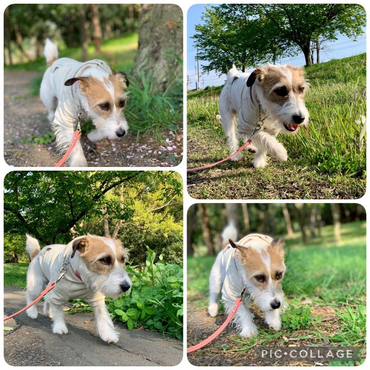 A6622737 c185 498a a621 82aef1ec93ca 1617872741563