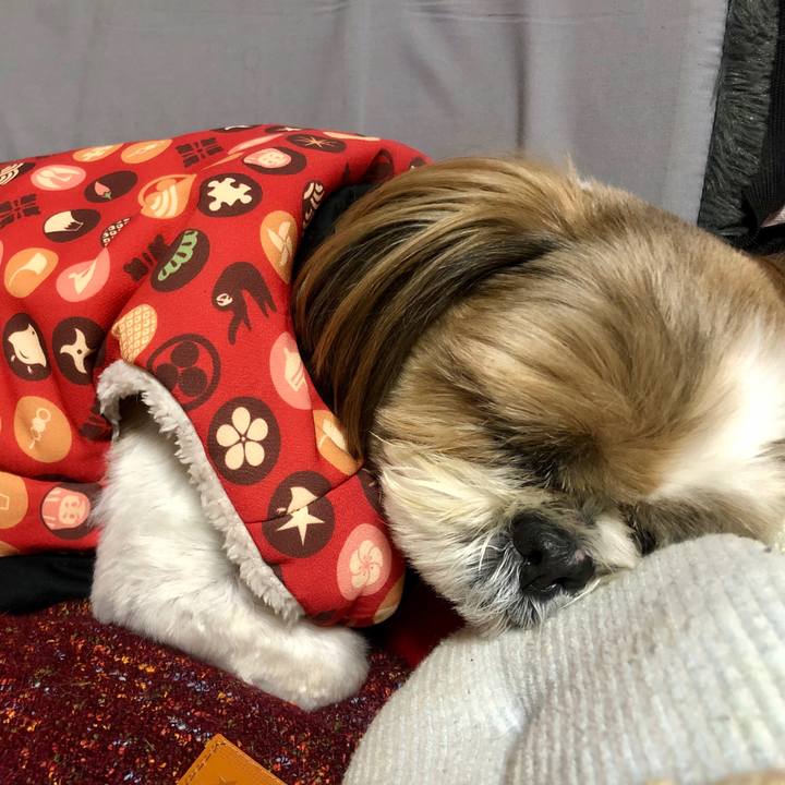 A66244ff 9d33 430a b327 67d9b178e225 1576929668014