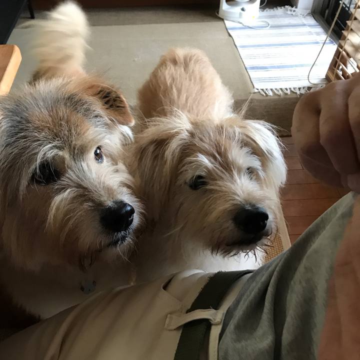 A66279ba 9b2b 4195 a9b5 88bfafbb0fd0 1634954373822