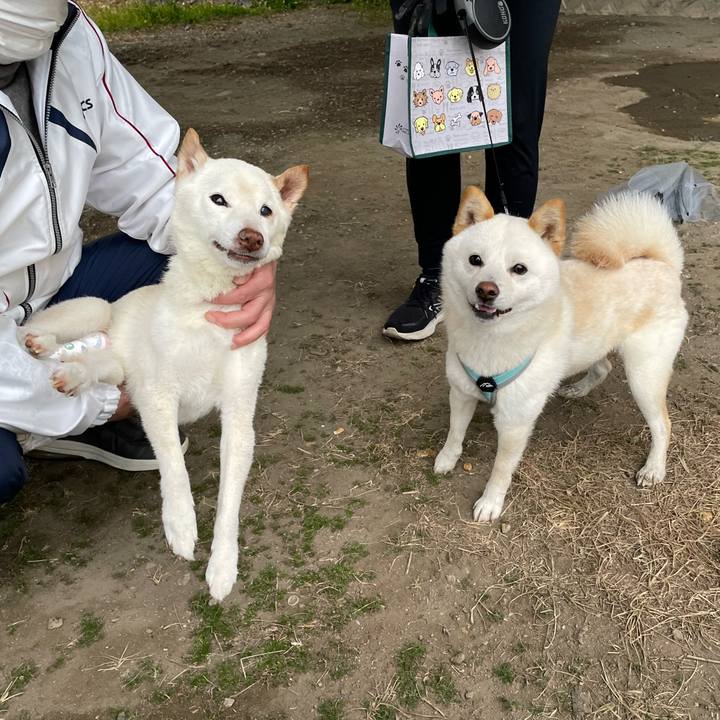 A6627bec c4de 4210 81c6 80d6104221cc 1675765138690