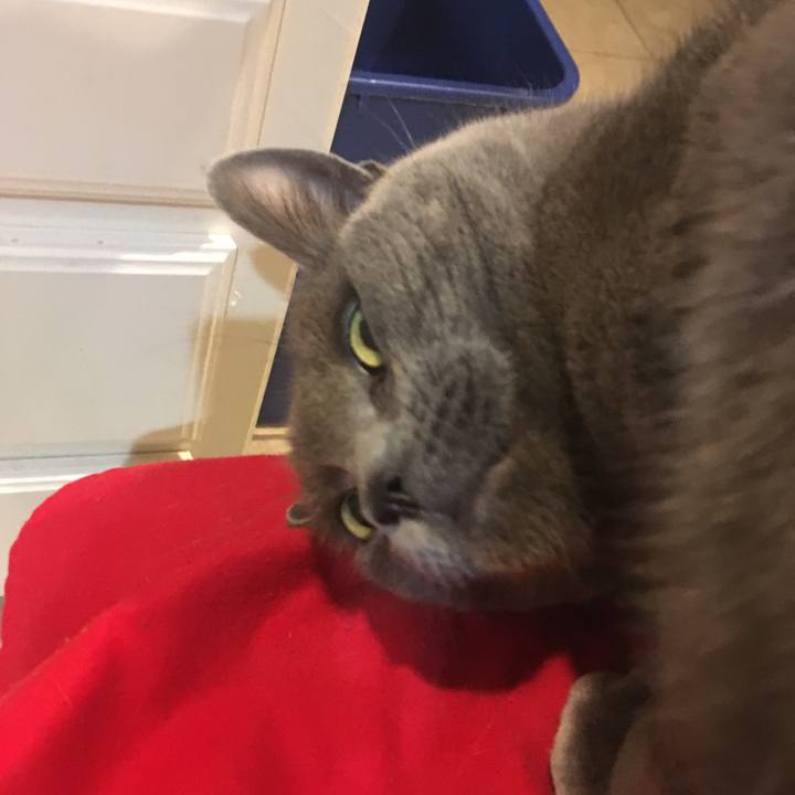 A6629fb2 0285 4bf2 8460 8b4ee47df621 1674279125741