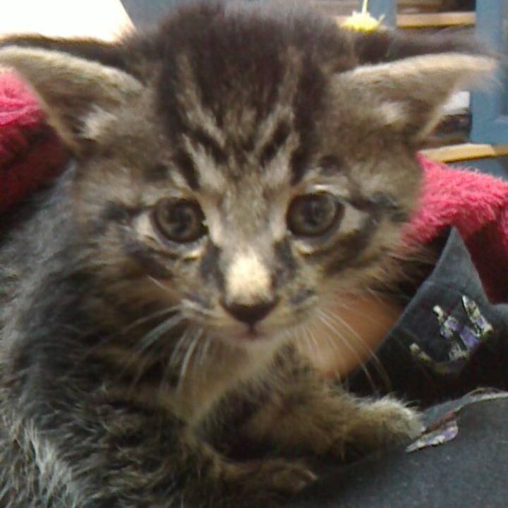 A662b536 086b 472e 866b 1fa7fec42ba6 1525517394740