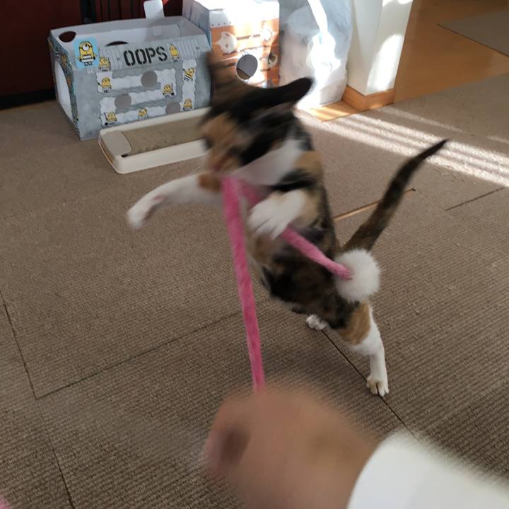 A6632ba5 fd2b 48c6 ac1c 704191d67277 1518171363094