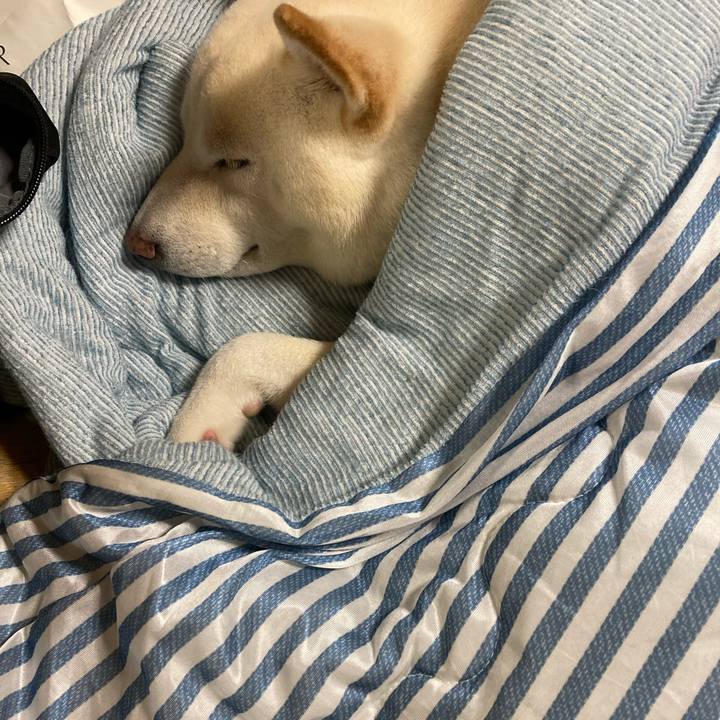 A6634741 13ba 408b afbd 9dbee65f9841 1629077194931