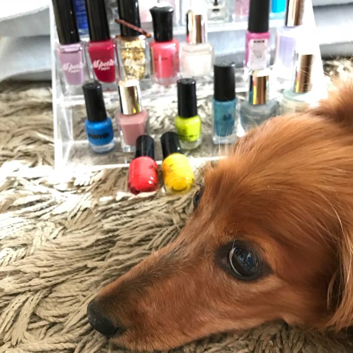 A6637b1d ef40 4ea3 9f82 bf112debba6b 1530574569495