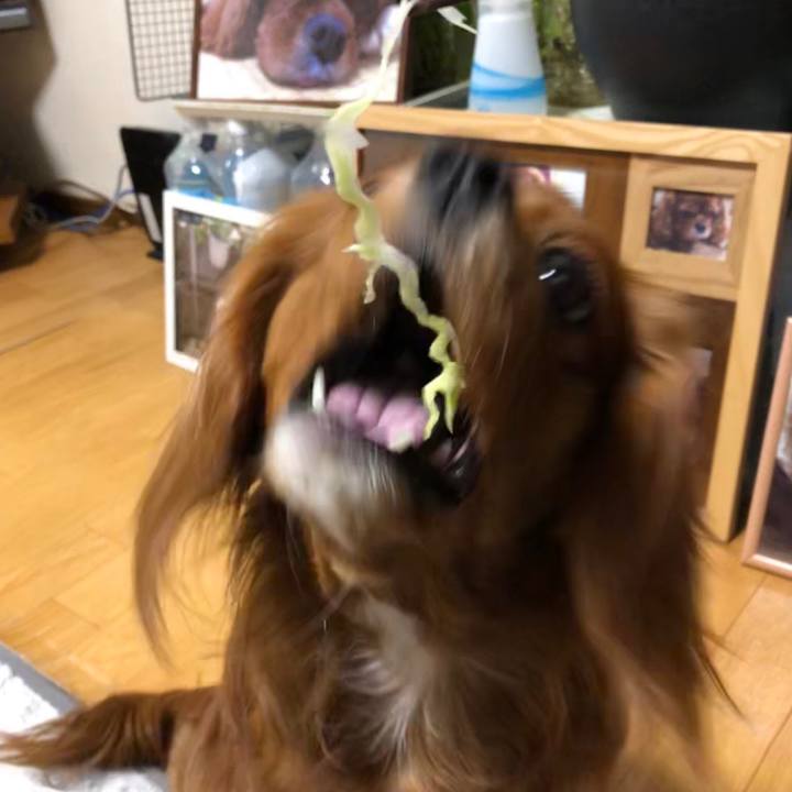 A6639ec4 229e 4a67 9c7b 6b26b7608f86 1551963696339