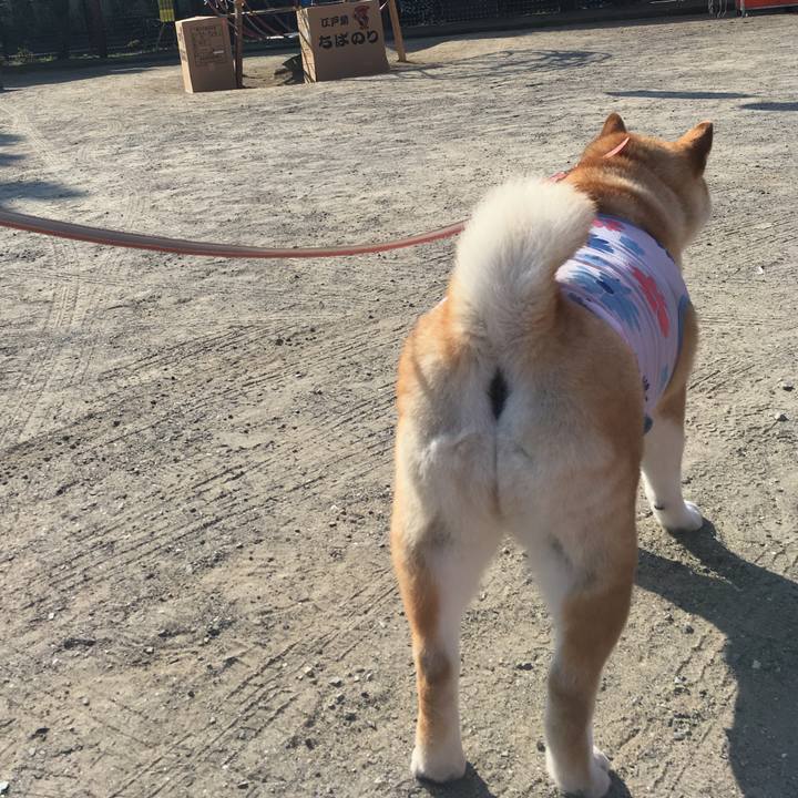 A663e400 4afe 4860 b6d4 1740384e361f 1564878184099