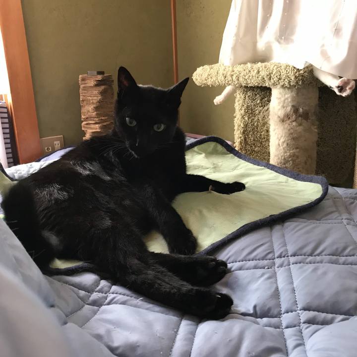 A663e86c 431b 4ef6 bce2 14d7aed840b2 1532223628370