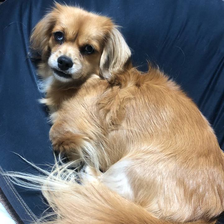 A6640552 4b73 488e 8bc1 41de44aa7181 1541196744037