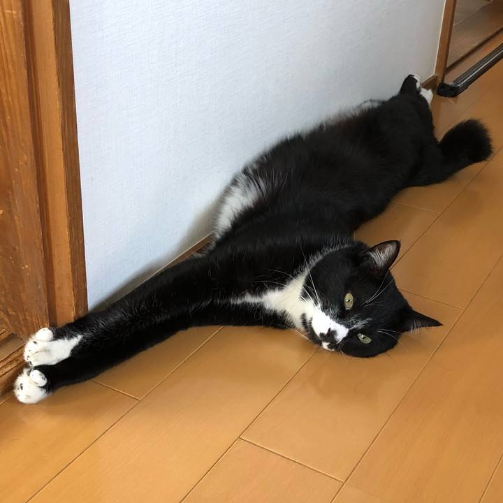 A664111f efb4 47e4 b001 ef6cf4b9ca8a 1559706004907