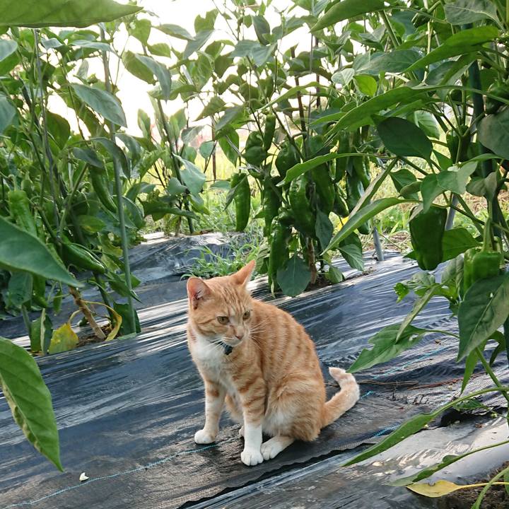 A6647fab 2beb 421d 8855 08bbc5b3faff 1564345736290