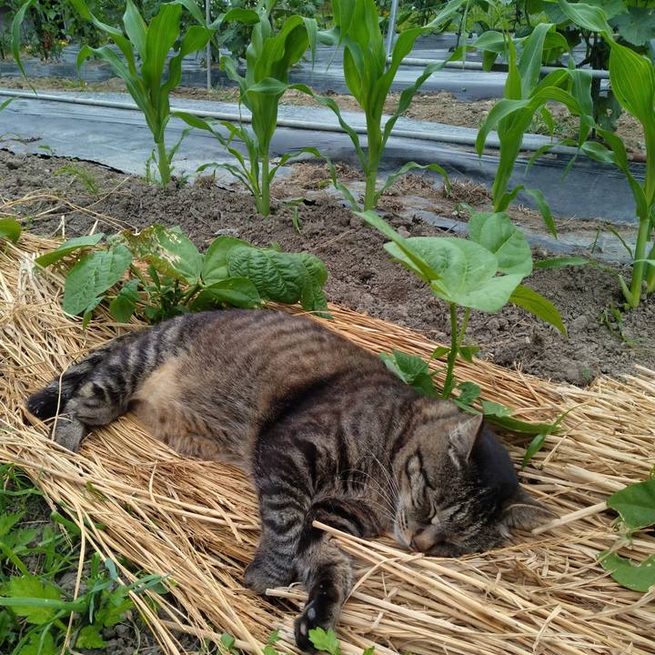 A66492cd 7ddb 428f 8b21 286507fb4bb1 1687404871479