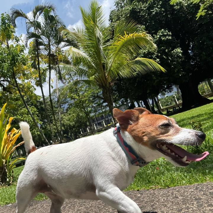 A664ffdd 7c5e 43d0 add6 daf478d32d42 1769931145043