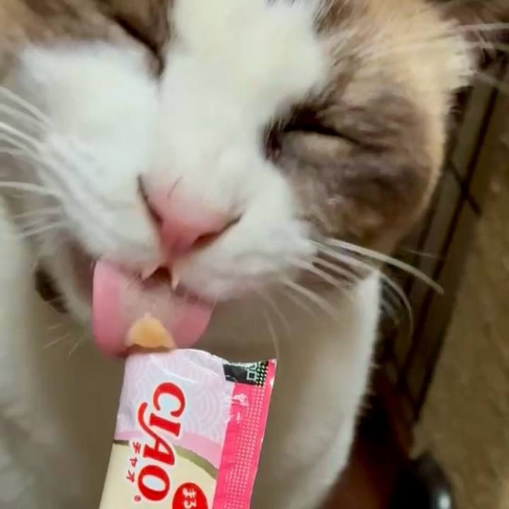 A6652f0a 8bf2 44cc b6d3 8c1ee65e8218 1763980642148