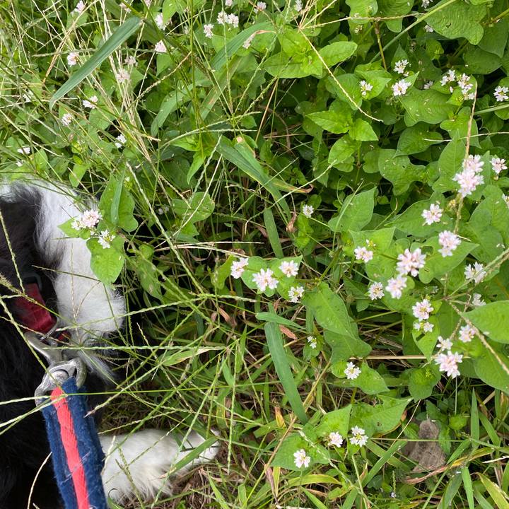 A66553b5 0336 4087 828e a3da6d460463 1665279680217