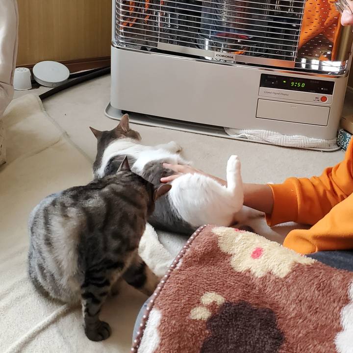 A6655742 9044 4ddf b792 ccd314f6aa6b 1706630799327