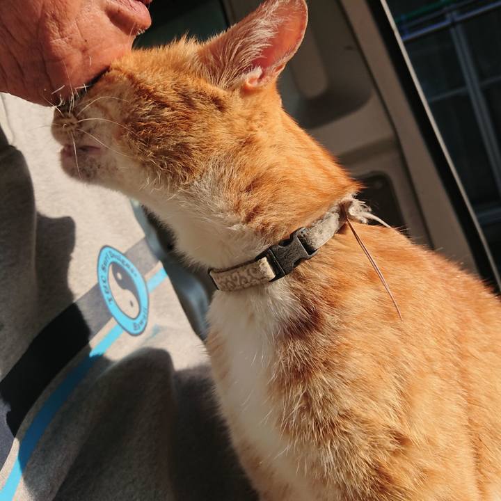 A6656da0 e72d 4462 87c3 6d2e2dae6232 1591563437547